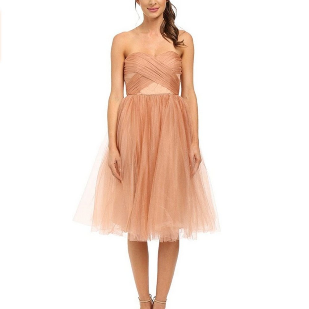 NWT Donna Morgan Women Mesh Tuille Blush Dress